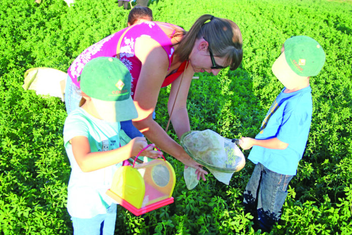 Photo Courtesy NMSU Ag Science Center A pair of youngsters participates in the insect sweep at last year's Artesia Field Day.
