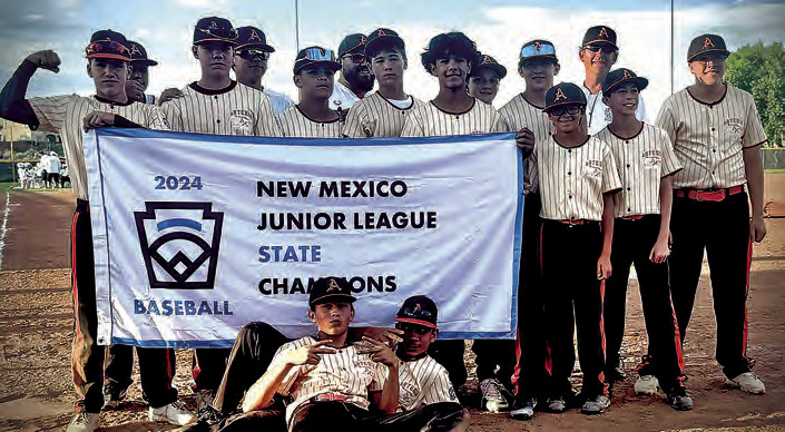 Juniors little league wins state tourney