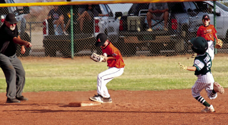 Minors team wins district tournament