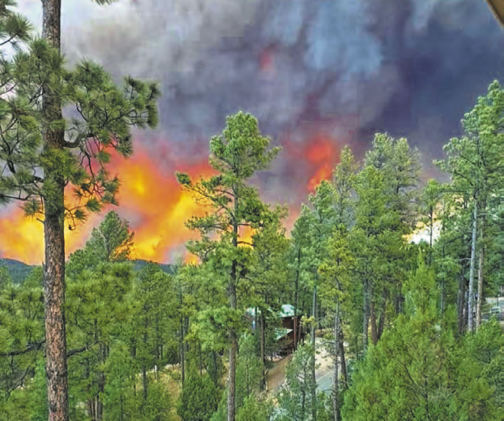 Sherry Robinson: A few bright spots as New Mexico faces fire season