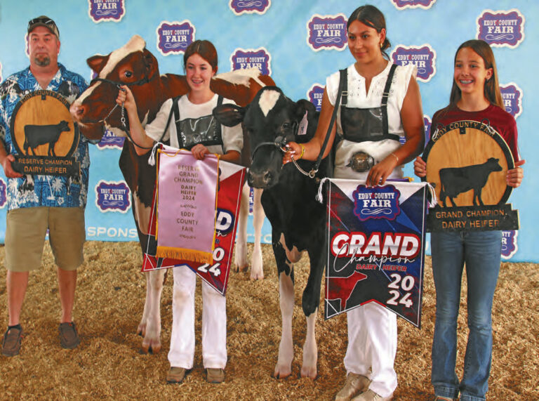 Grand Champion, Reserve Grand Champion