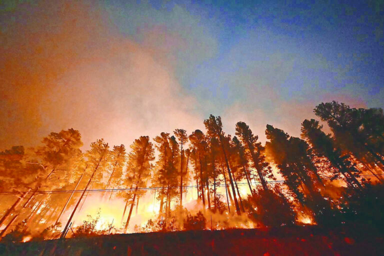 Deadline extended for federal wildfire relief in New Mexico