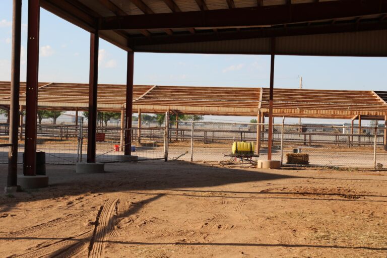 Eddy County Fairgrounds being upgraded with indoor livestock facility