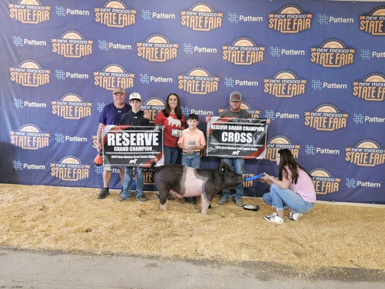 Local students sweep NM bred swine show