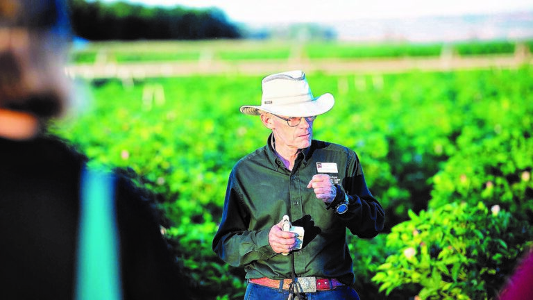 Field day to focus on pest management, crop research