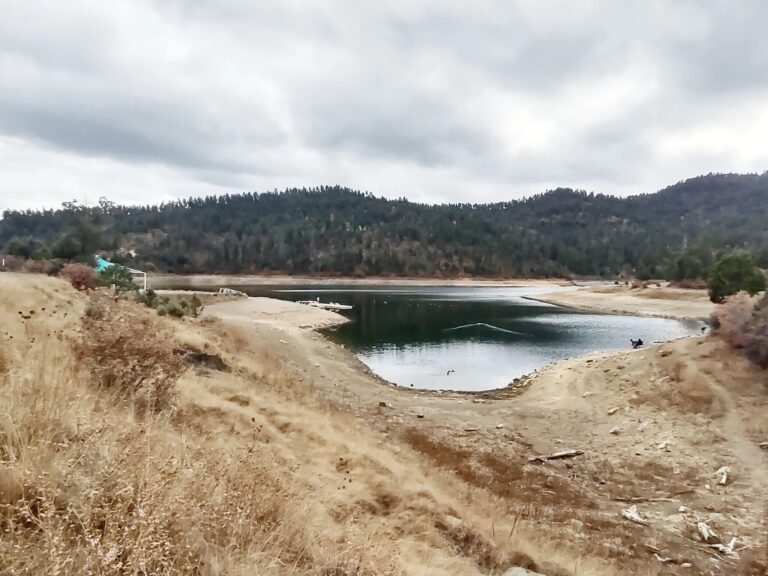 A trip to a fishing spot could beat the heat this weekend