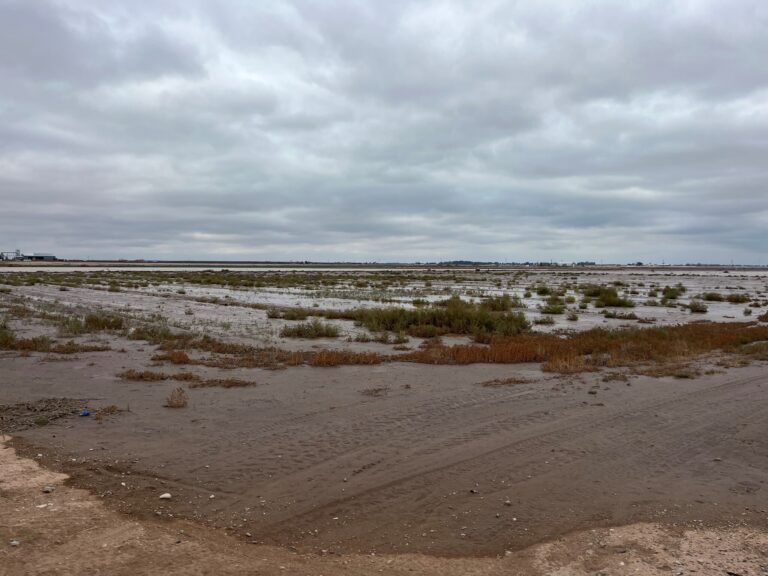 Chaves County floods impact farmland and closes schools