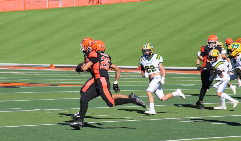 Bulldogs advance to state championship