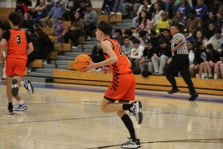 ‘Dogs fall short at Carlsbad