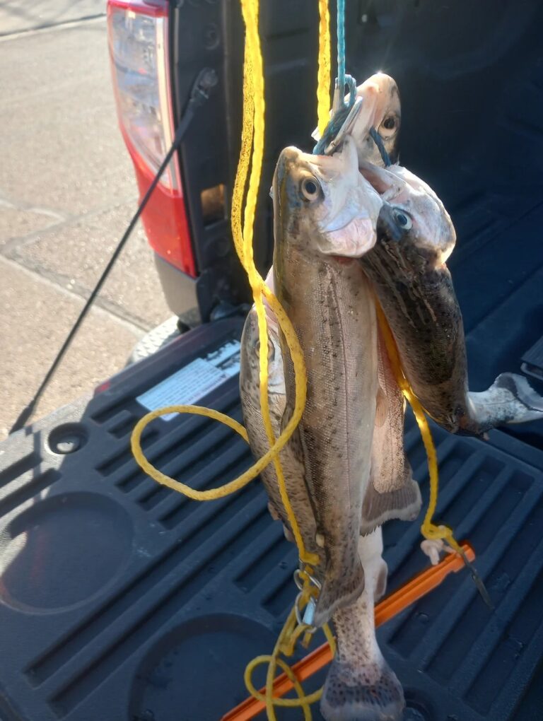 Southeast warm-up invites anglers