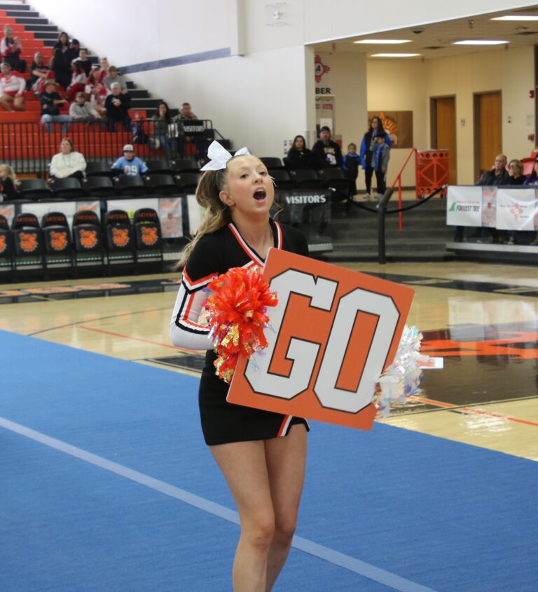 Artesia cheerleaders focused for state title