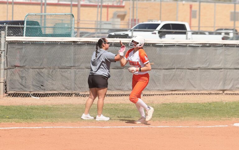 The Artesia Lady ‘Dogs seek to advance in the state tournament