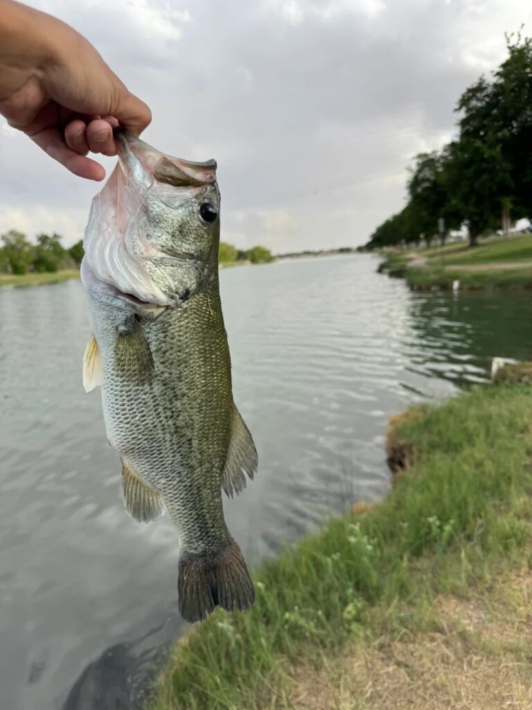 Drier weather awaits anglers at New Mexico lakes and streams