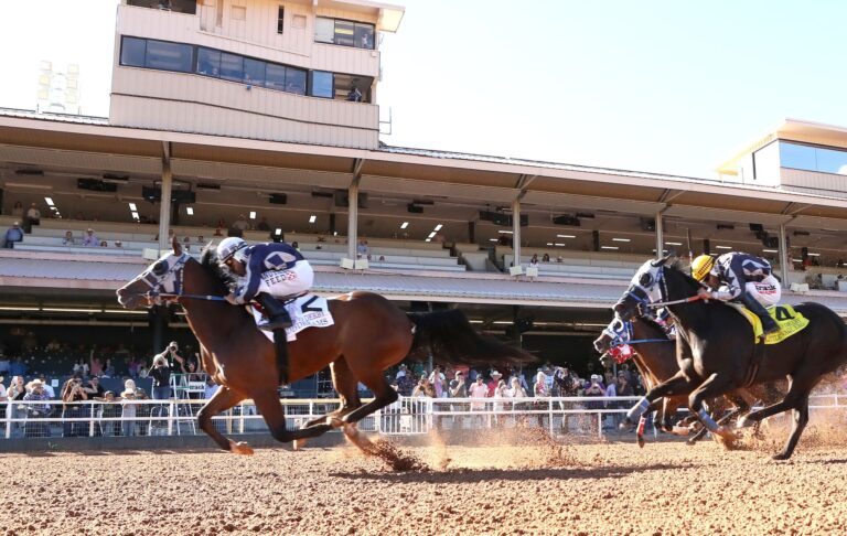 Ruidoso Derby winner in Rainbow trials