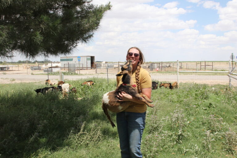 Goat milk offers clean proposition for Artesia family