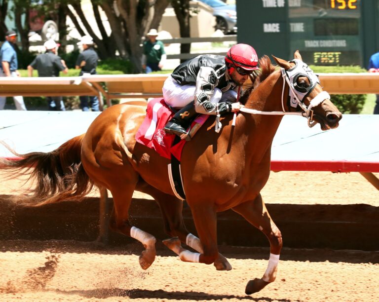 King Estate fastest in trials for Zia Futurity