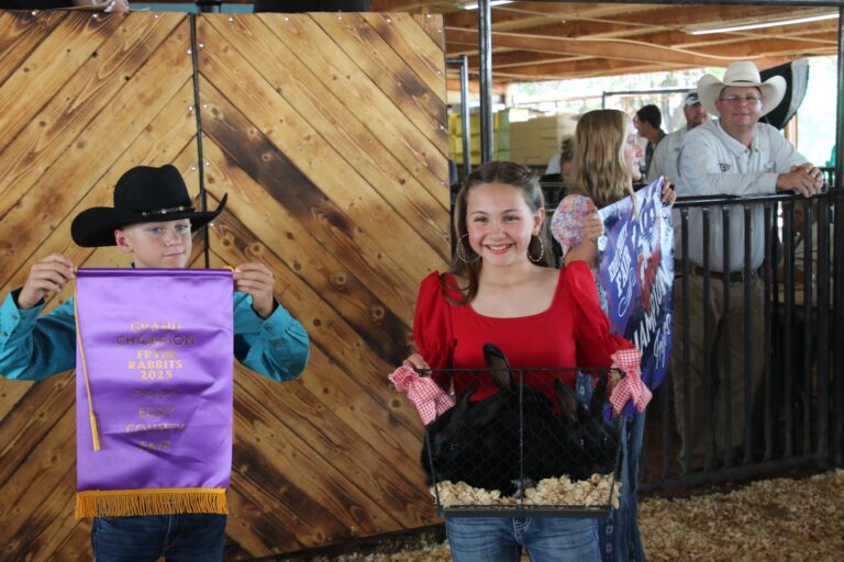 State Fair announces near-record attendance