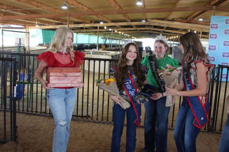 Denison gets to work as Eddy County Fair Queen