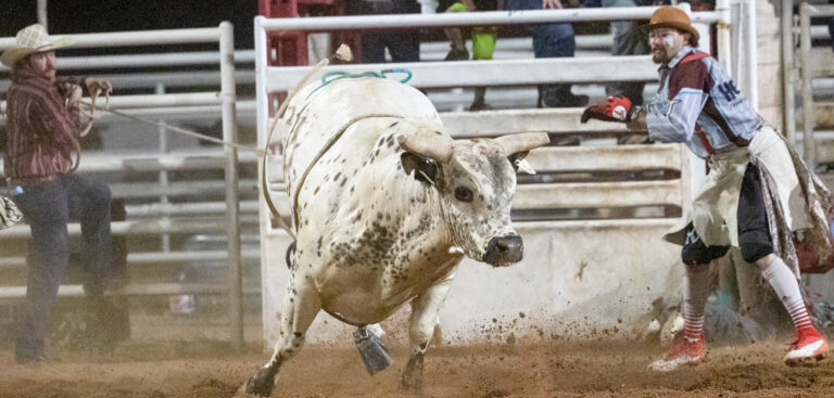 Riding of the bulls