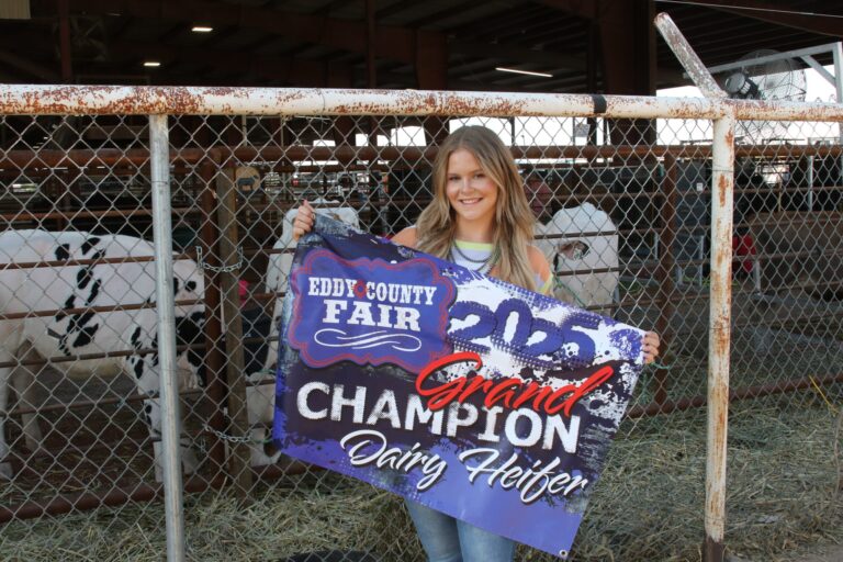 Here are the animal show results from the Eddy County Fair