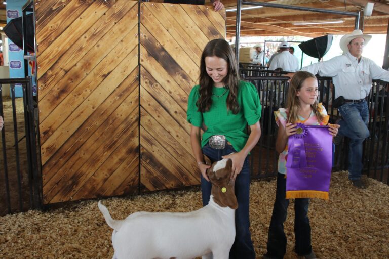 Livestock Auction caps off Eddy County Fair