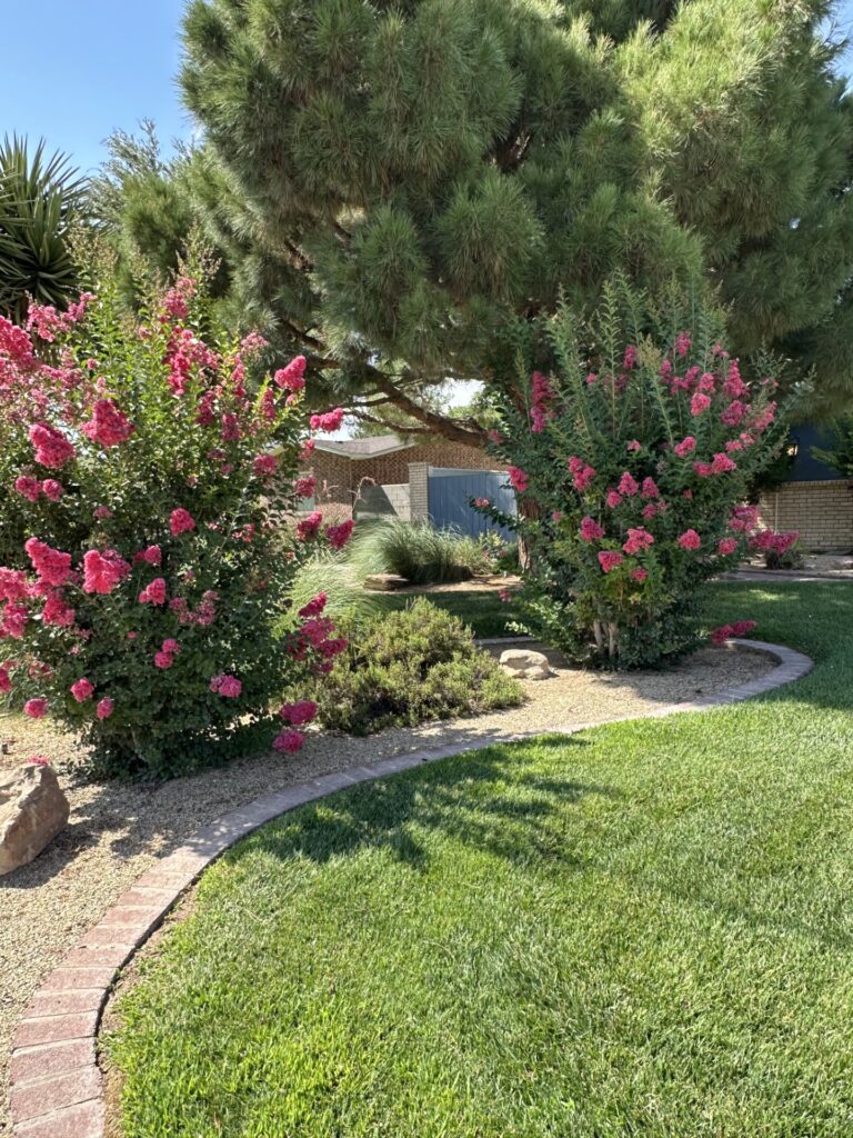 Yard of Week