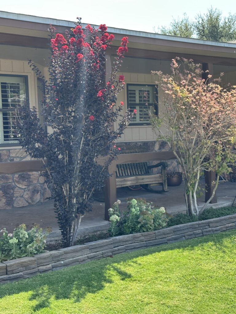 Yard of the Week