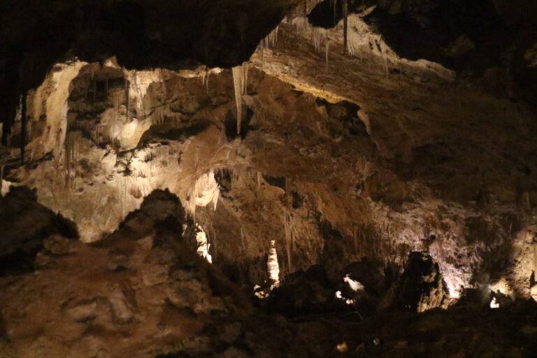 Carlsbad Caverns closed during shutdown