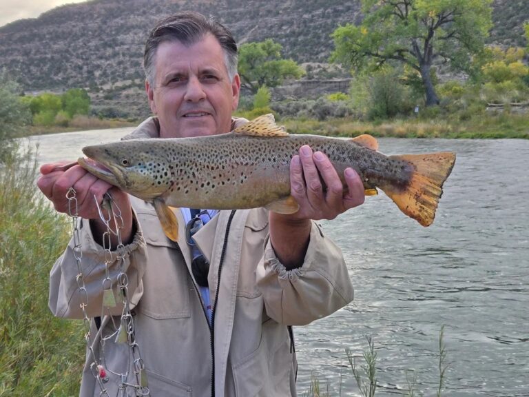 Trout fishing good in northern New Mexico