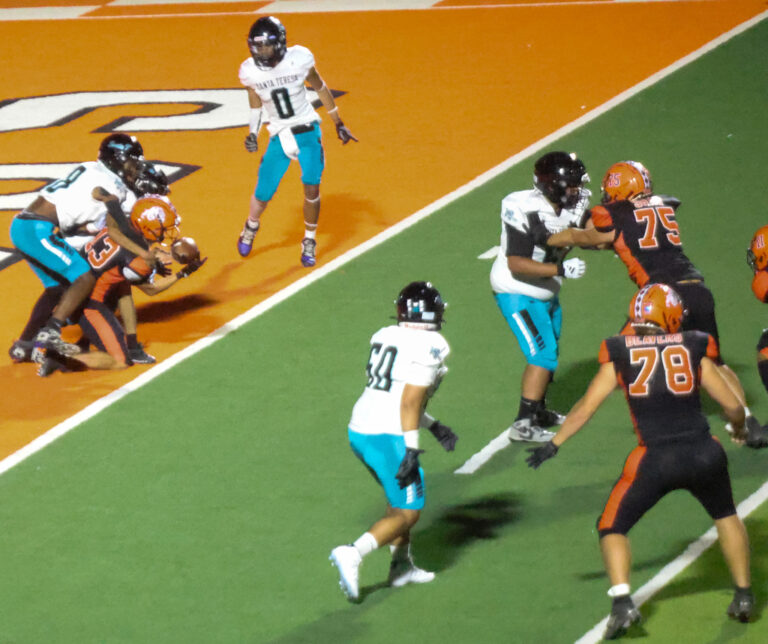 Hornets and Bulldogs have football history
