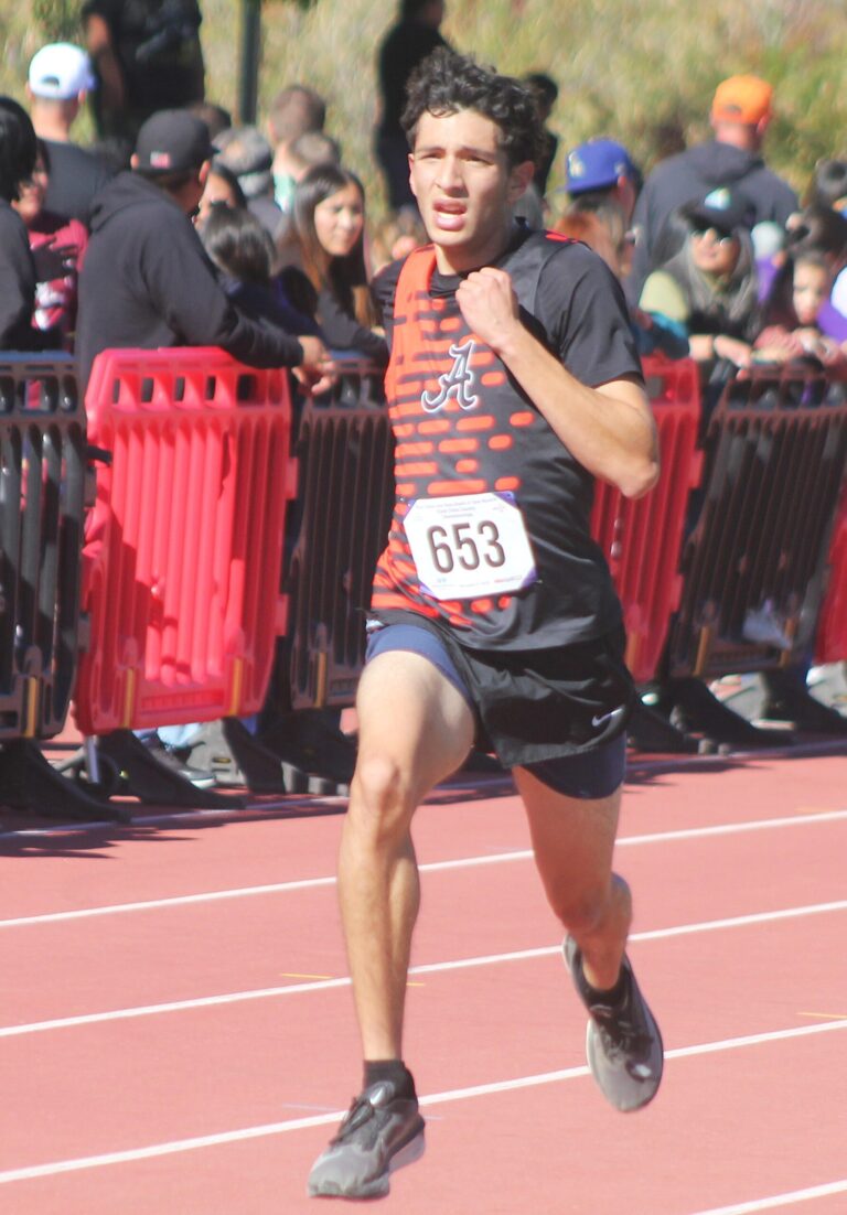 Artesia cross country teams shine at state meet