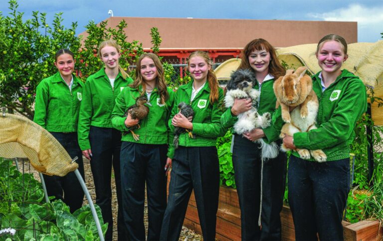 4-H reaching out to urban members