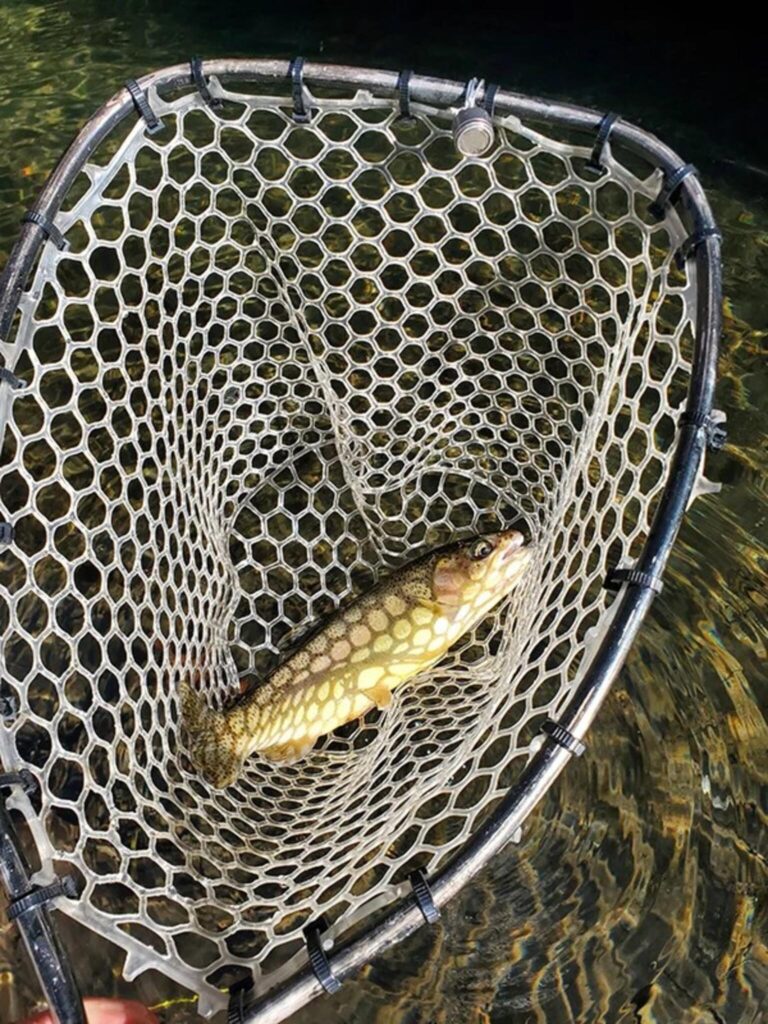 Trout remain popular in Lincoln County lakes