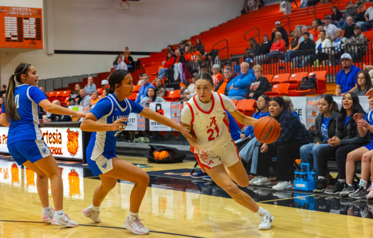 The Lady Dogs basketball team stays alive in the tournament
