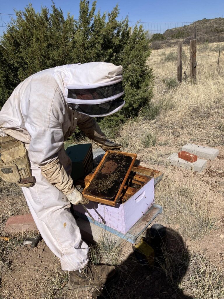 Tularosa beekeeper prepares for the spring season