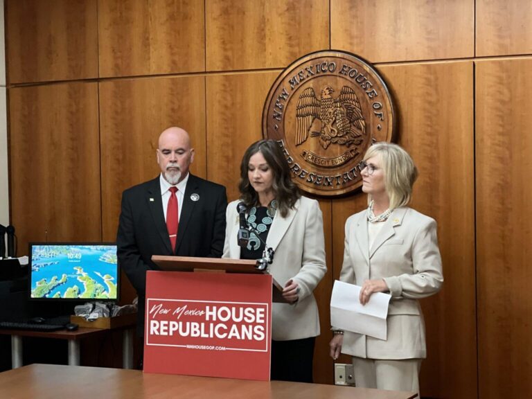 Sierra County State Rep. Rebecca Dow disqualified from June primary ballot