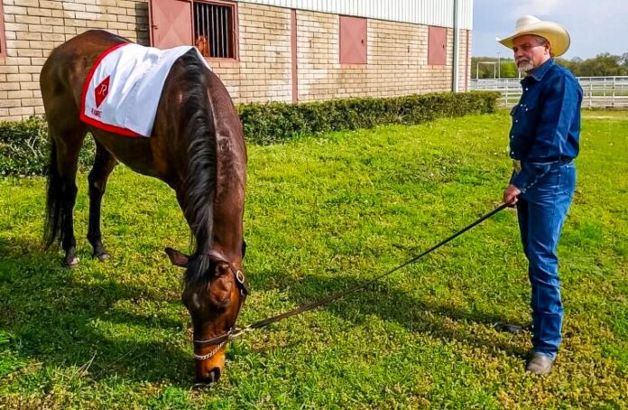 Mine That Bird with owner Mark Allen