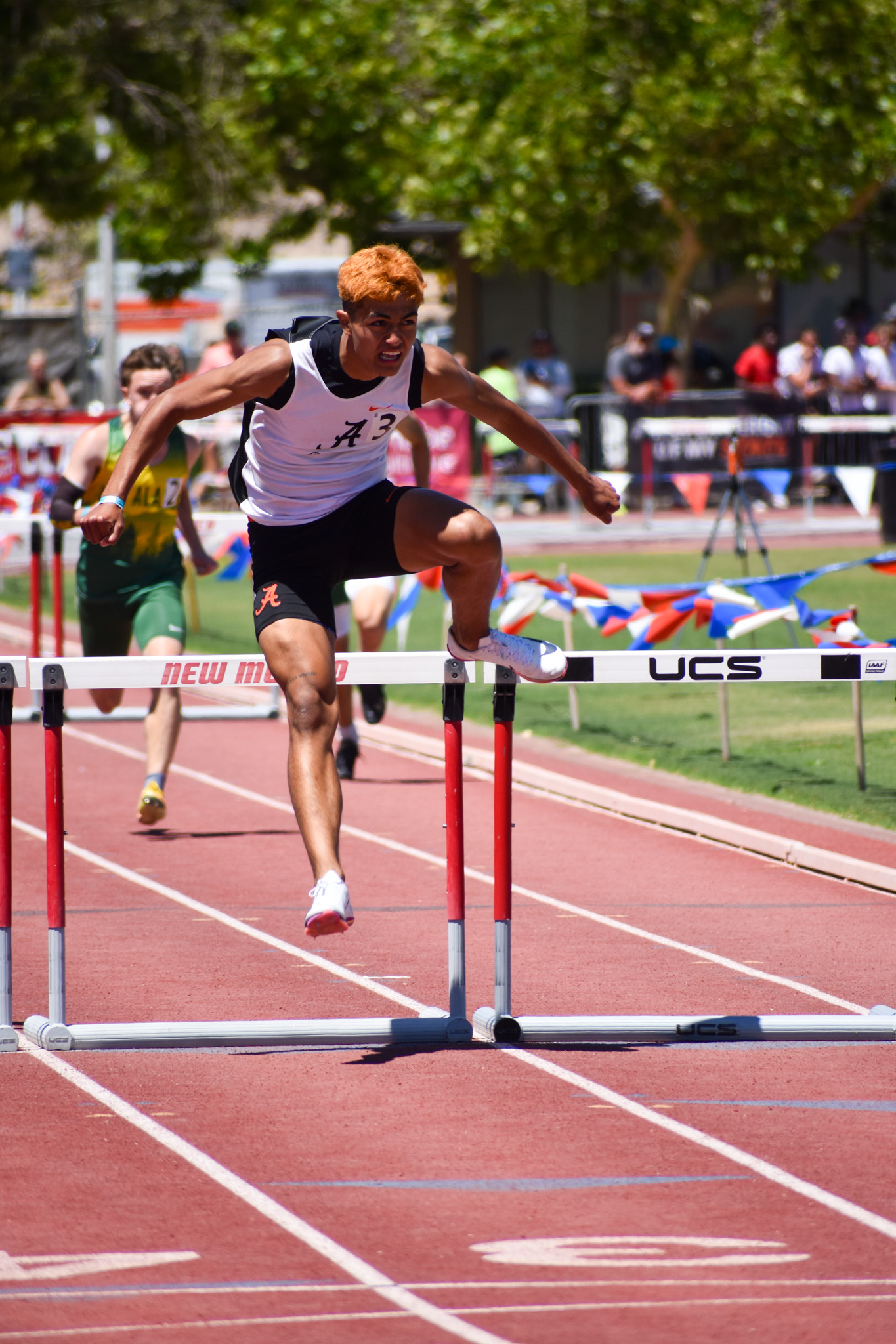 Artesia boys’ and girls’ teams place in the top three at the state track meet, with seven individual state champions