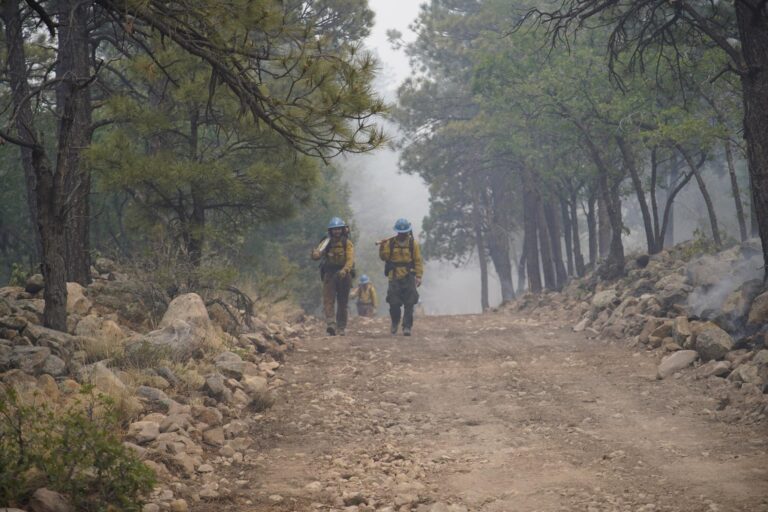 Seven Cabins Fire burning near Capitan has scorched around 29K acres as crews continue to fight blaze