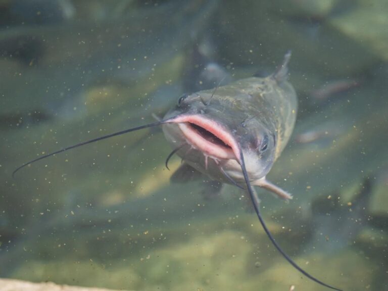 Hitting your favorite fishing spot this summer? Here are some tips to stay cool from New Mexico Department of Wildlife