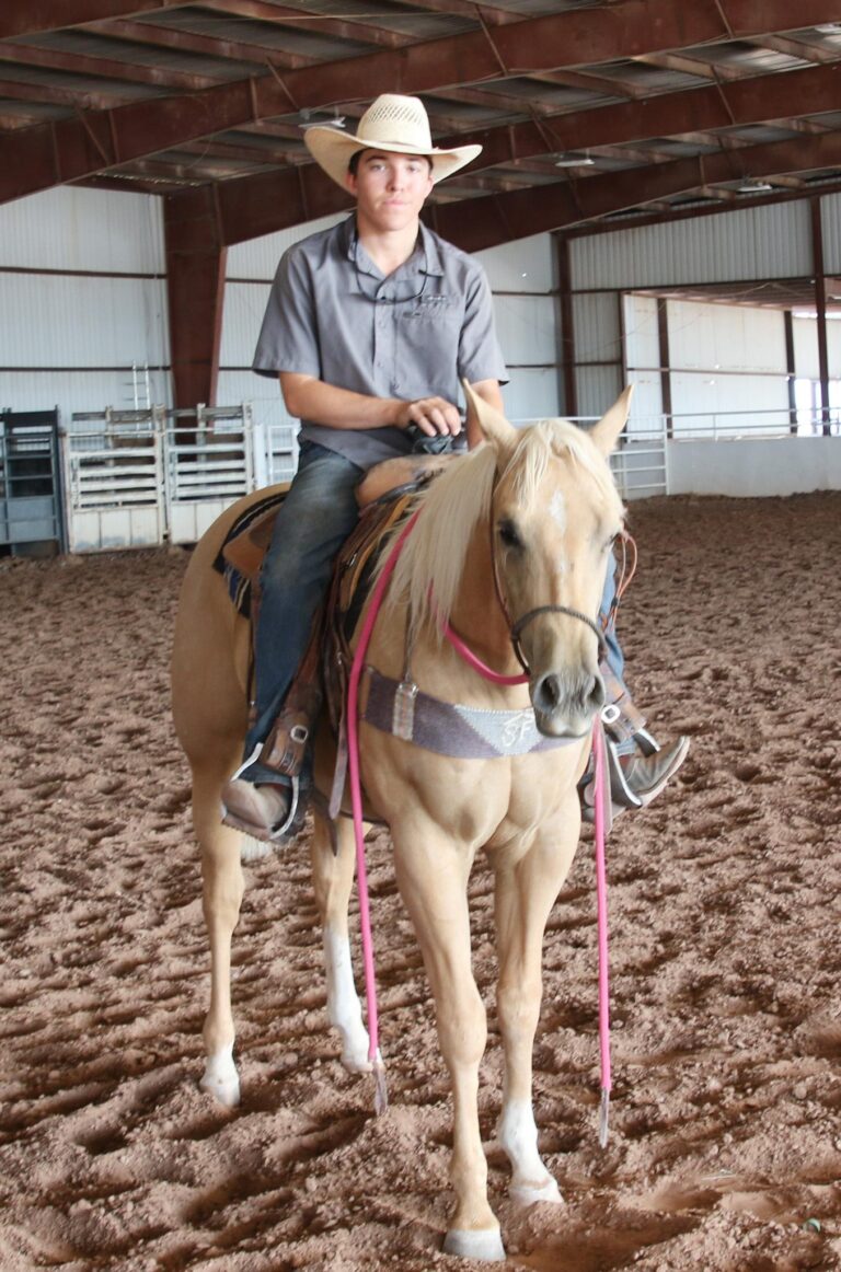 Fodge prepared for the Eddy County Fair