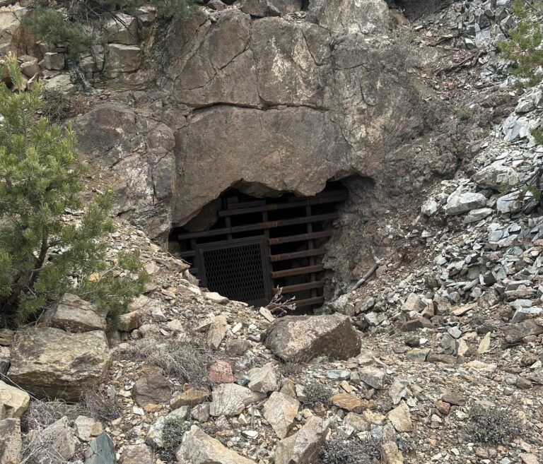Bureau of Land Management Director Steve Pearce ‘enjoying the work’ after confirmed by Congress