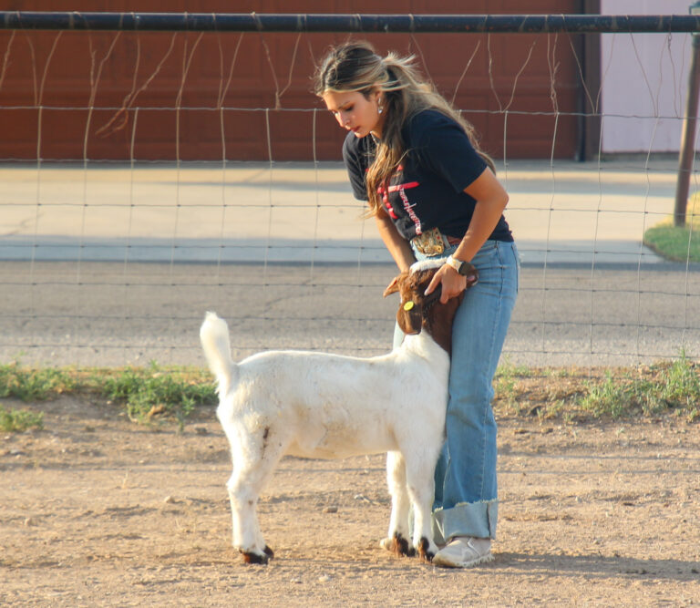 Trujillo ready for 81st Eddy County Fair