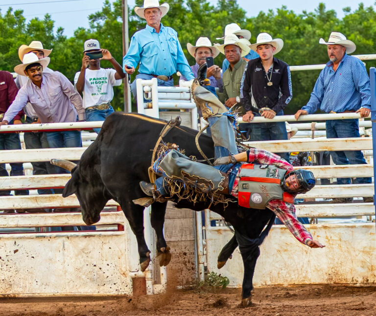 A Fair That Feels Like Home