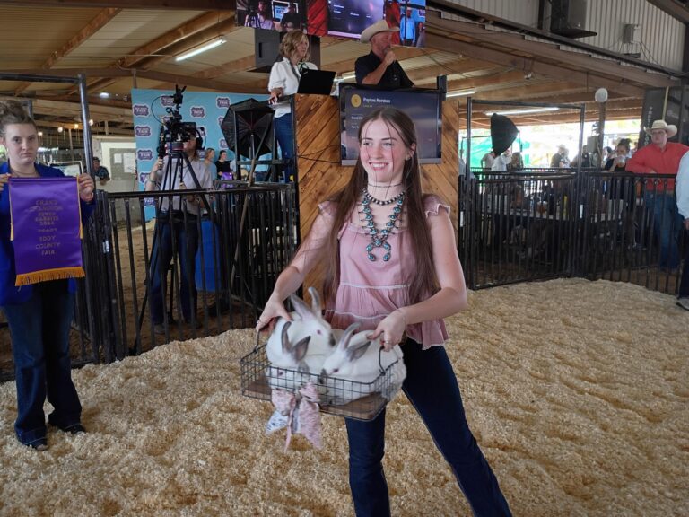 Eddy Jr. Livestock Auctions wraps up Eddy County Fair. Here is a photographic recap of Saturday’s event.