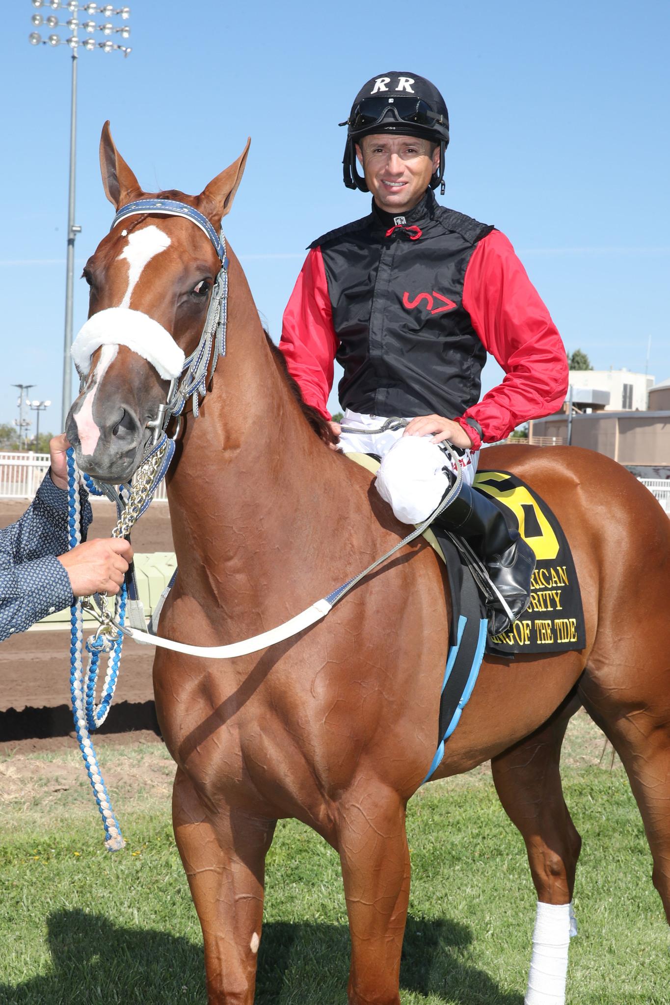 Horses to watch in New Mexico Horse Sale