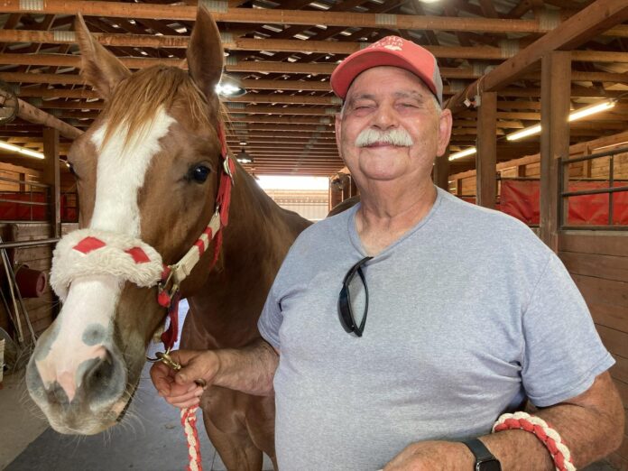 Local horse breeder Mike Logan will bring 22 quarter horses to the New Mexico-bred Horse Sale from his ranch in Hondo, including No Kash Back (hip #151), a yearling sired by Eye Am King out of the mare Carson City Girl by Woodbridge.