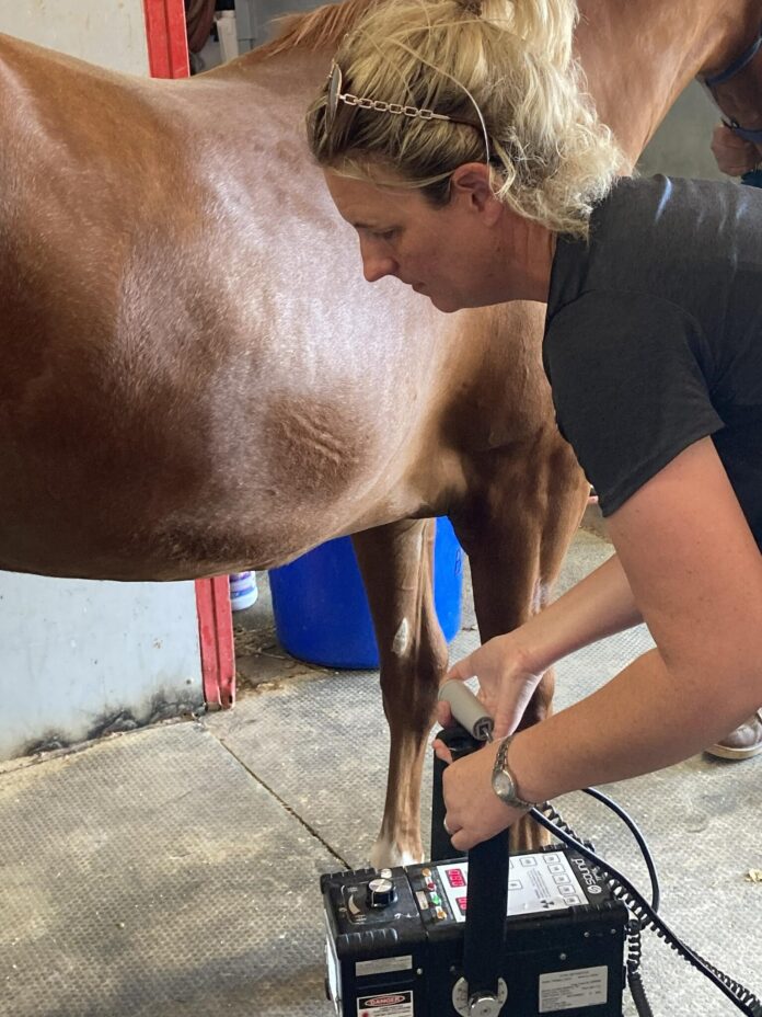 Dr. Megan Petty, veterinarian for La Feliz Montana Ranch, performs an X-ray on one of the yearlings headed to the New Mexico-bred horse sale.