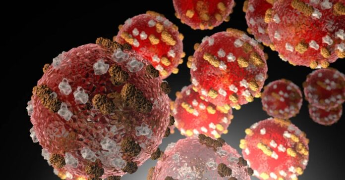 The measles virus.