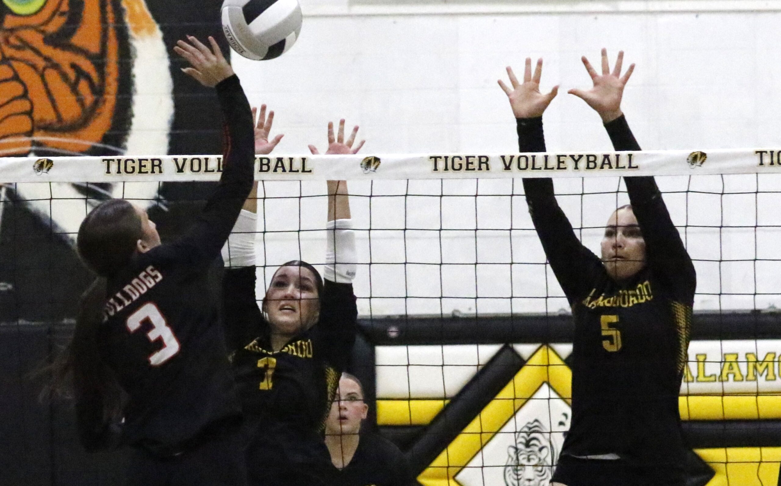 Artesia volleyball sweeps Alamogordo